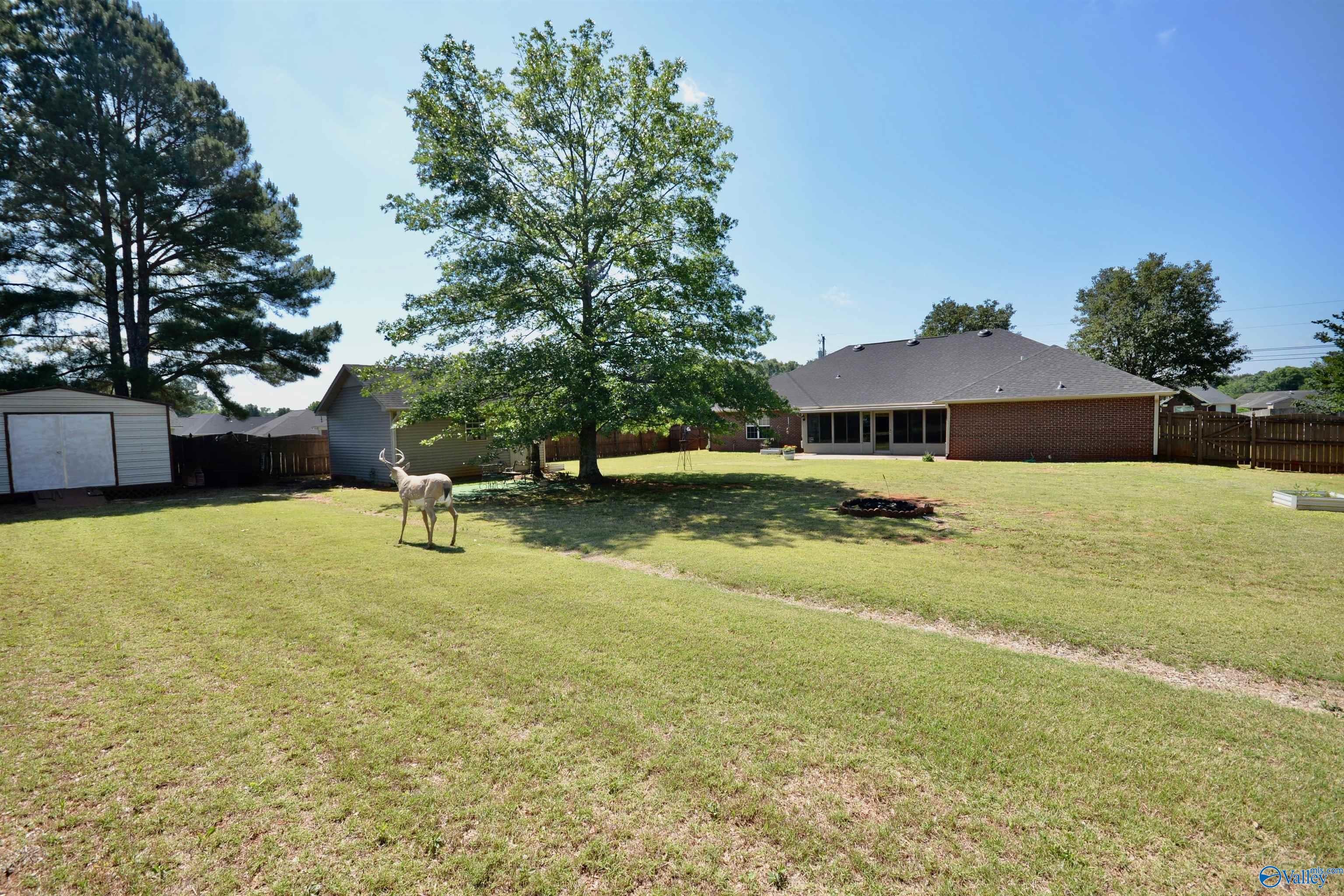211 Williston Drive