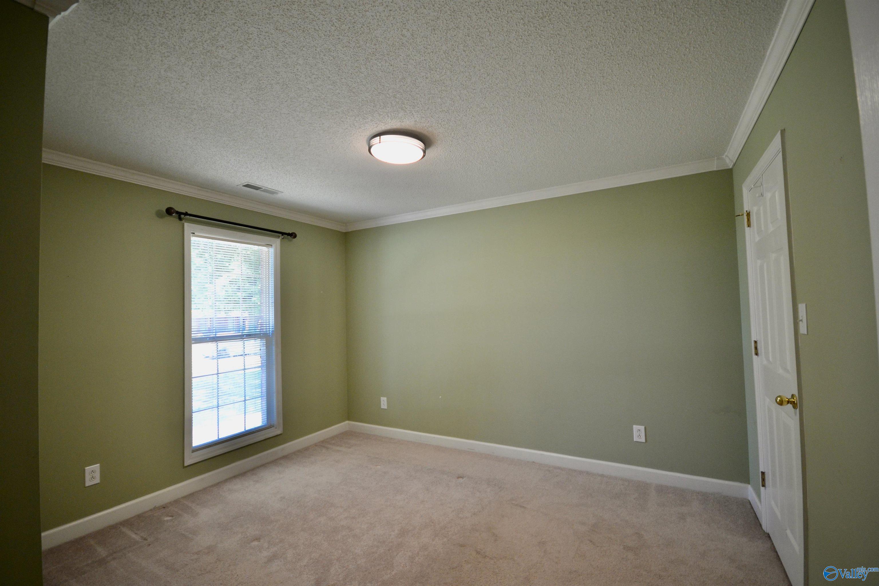211 Williston Drive