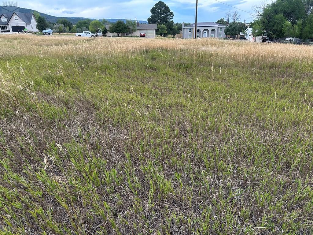 TBD Hicklin Dr
