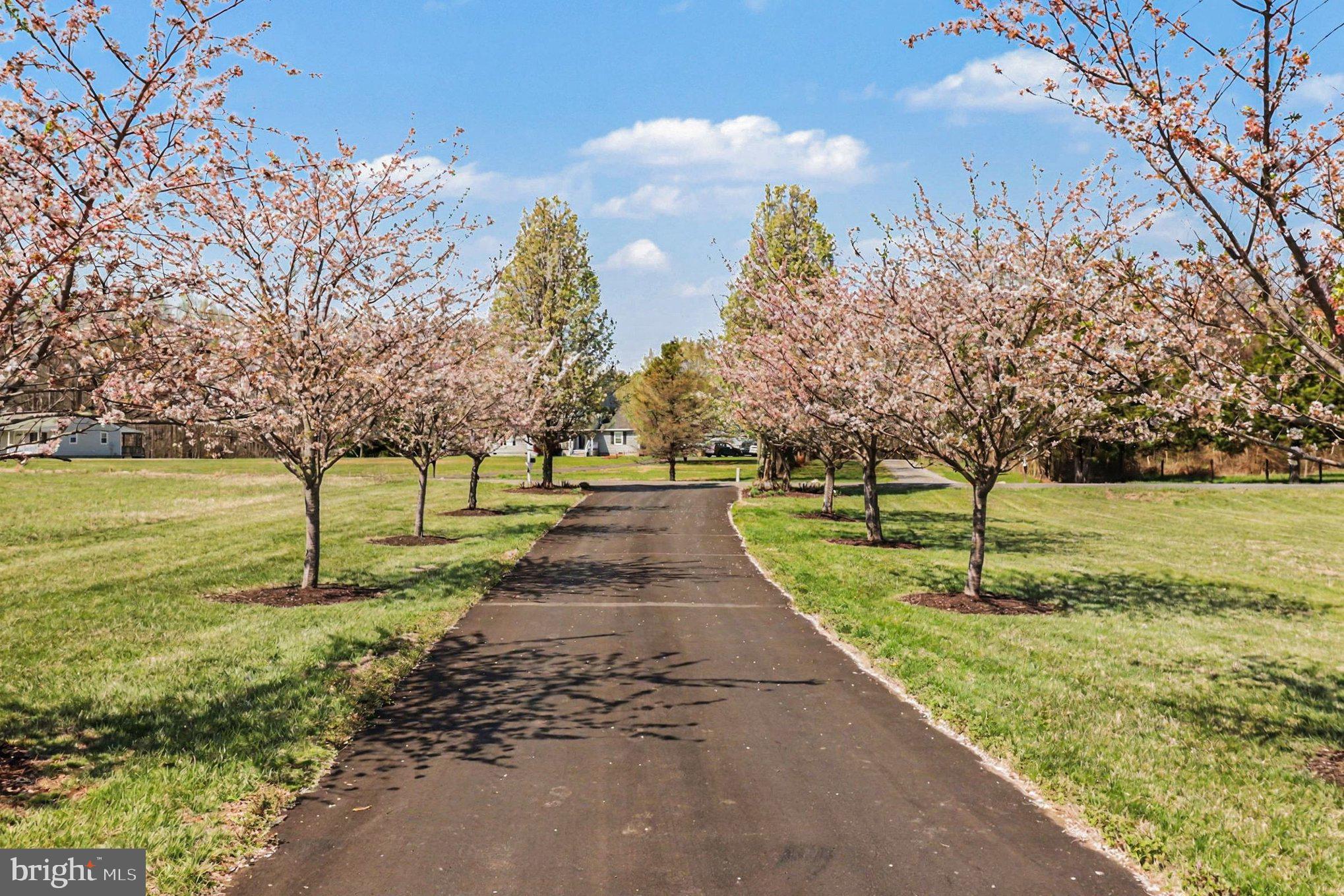 16225 PARRISH FARM ROAD