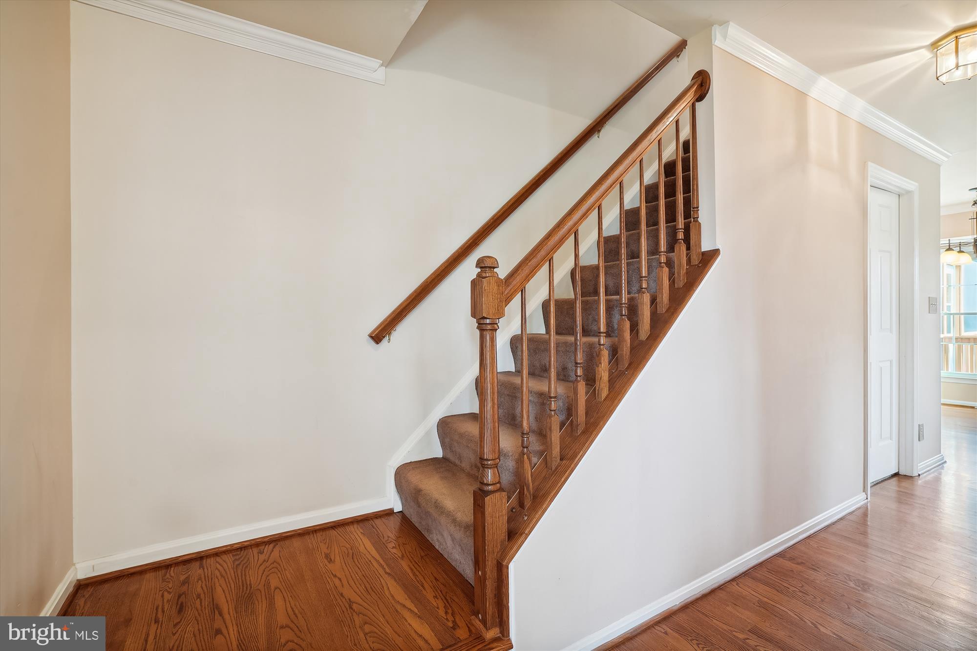 133 NORTHAMPTON BLVD