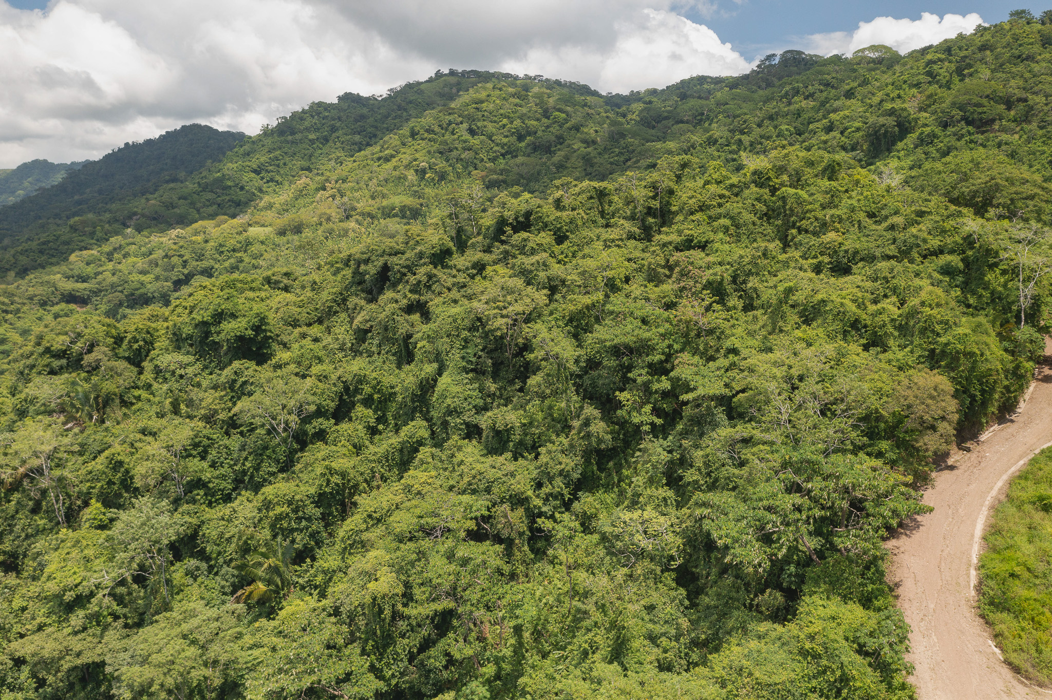 Tambor, Costa Rica