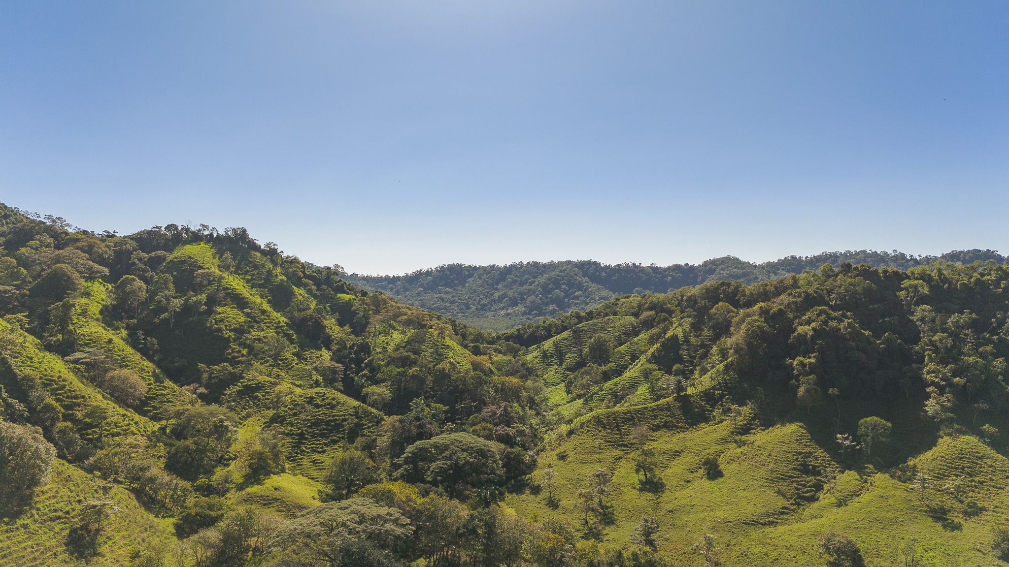 Tambor, Costa Rica