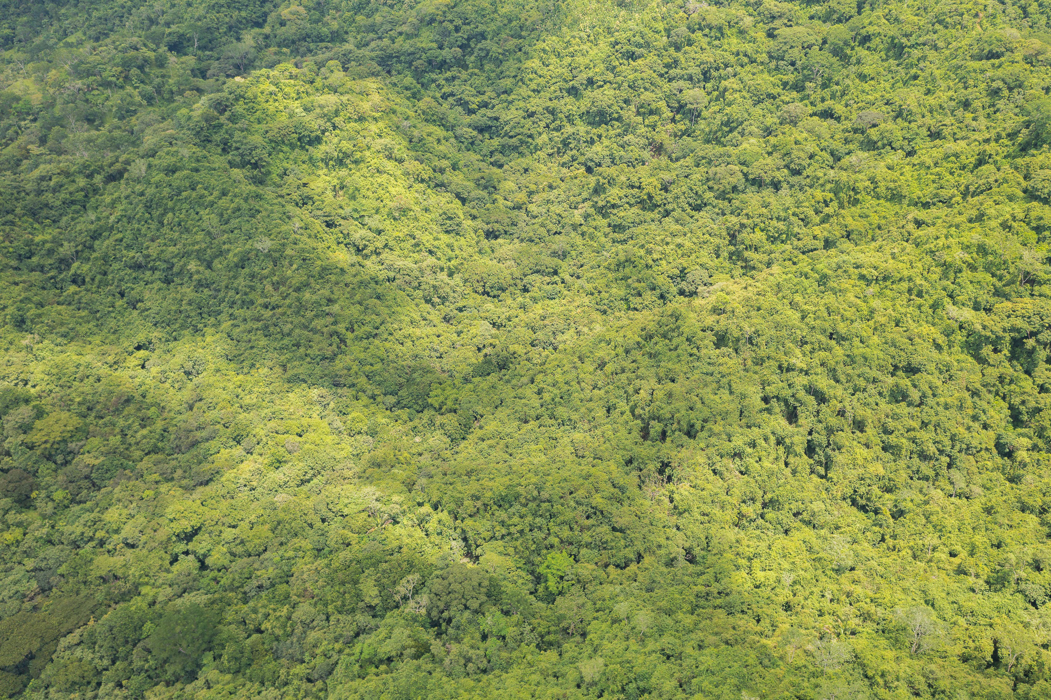 Tambor, Costa Rica