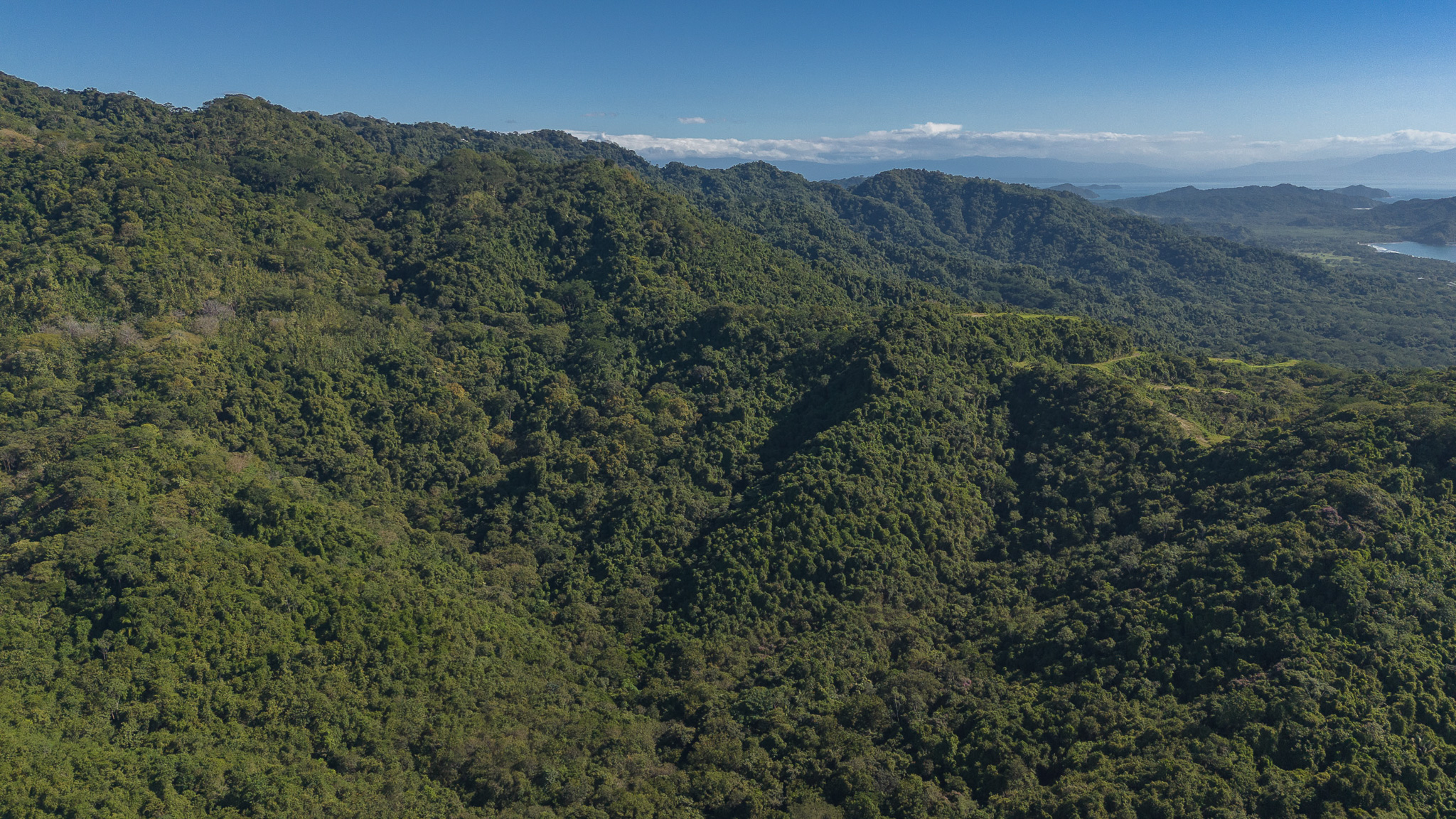 Tambor, Costa Rica