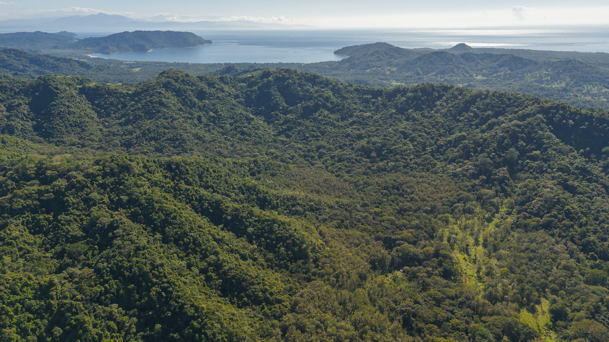 Tambor, Costa Rica