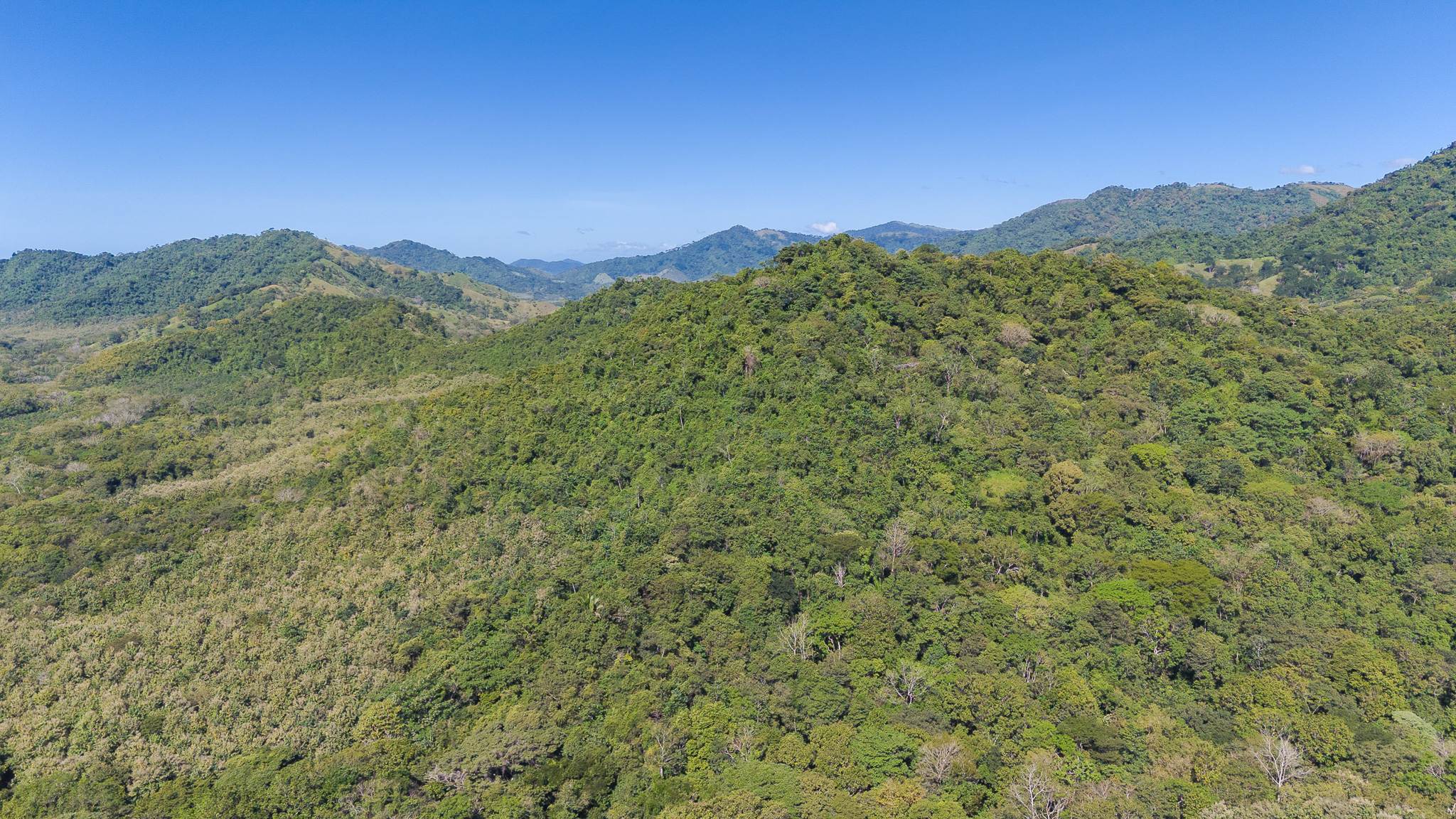 Tambor, Costa Rica