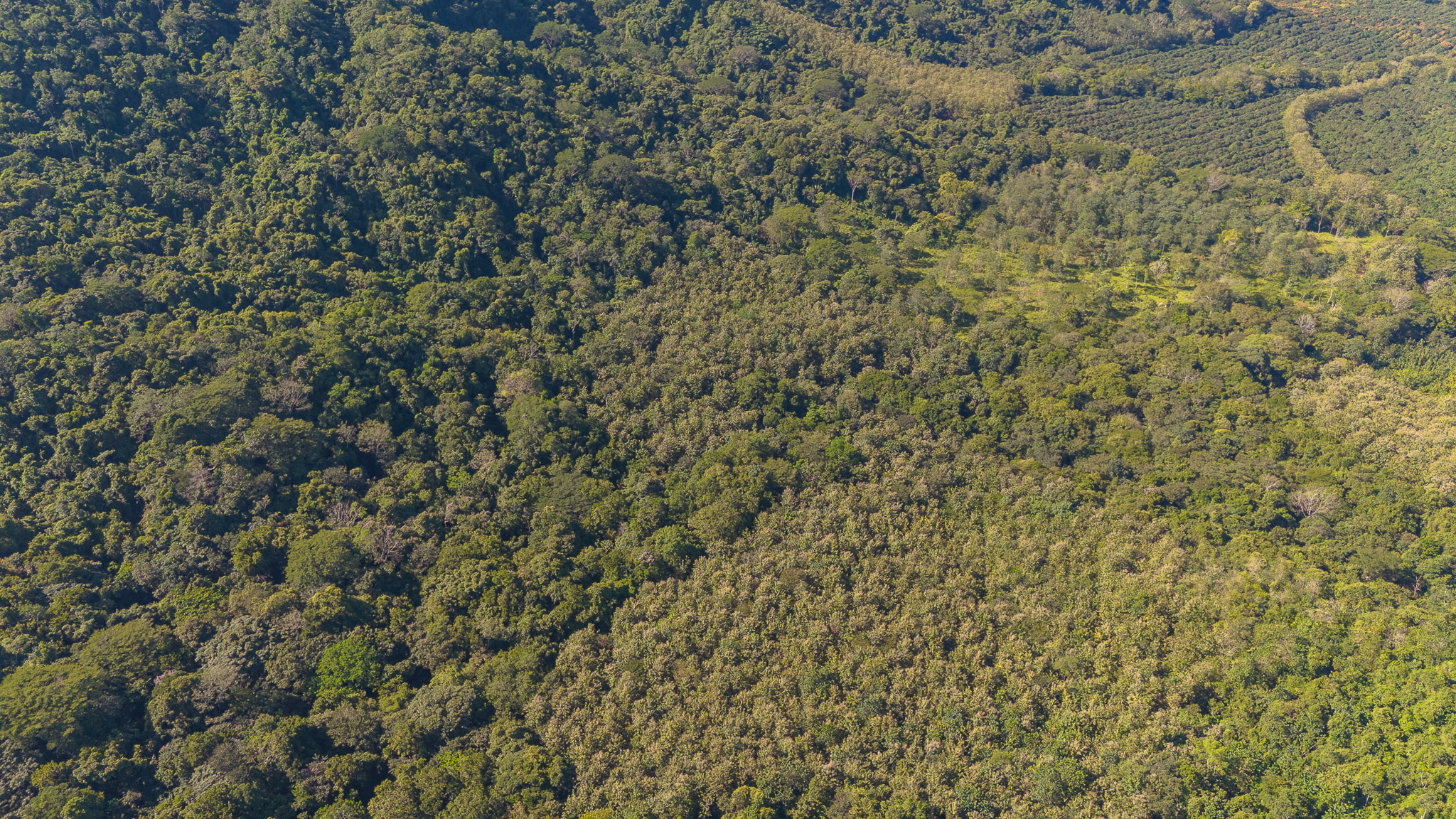 Tambor, Costa Rica