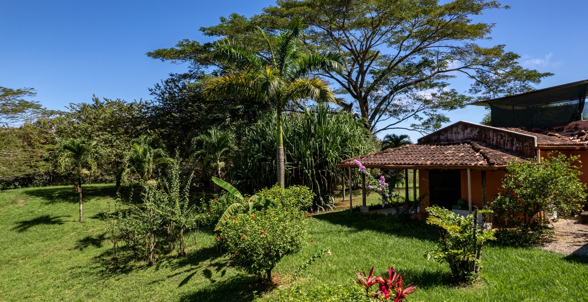 Las Delicias