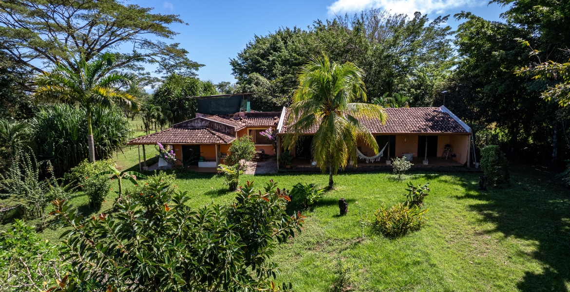 Las Delicias