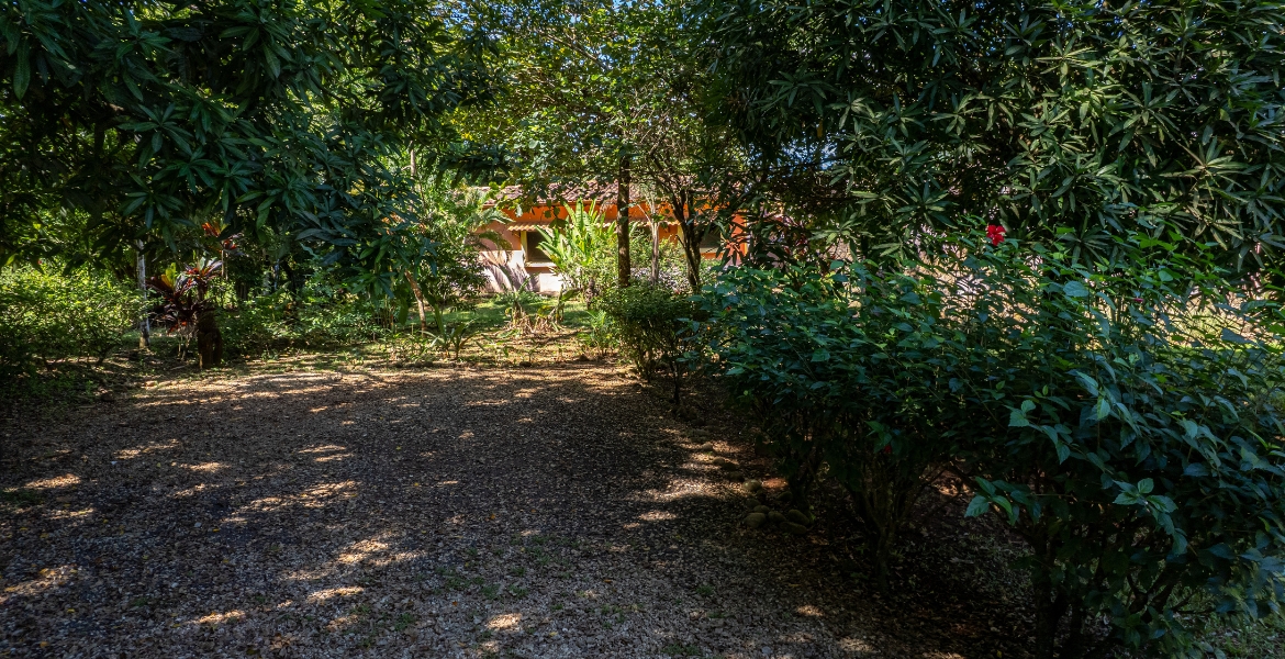 Las Delicias