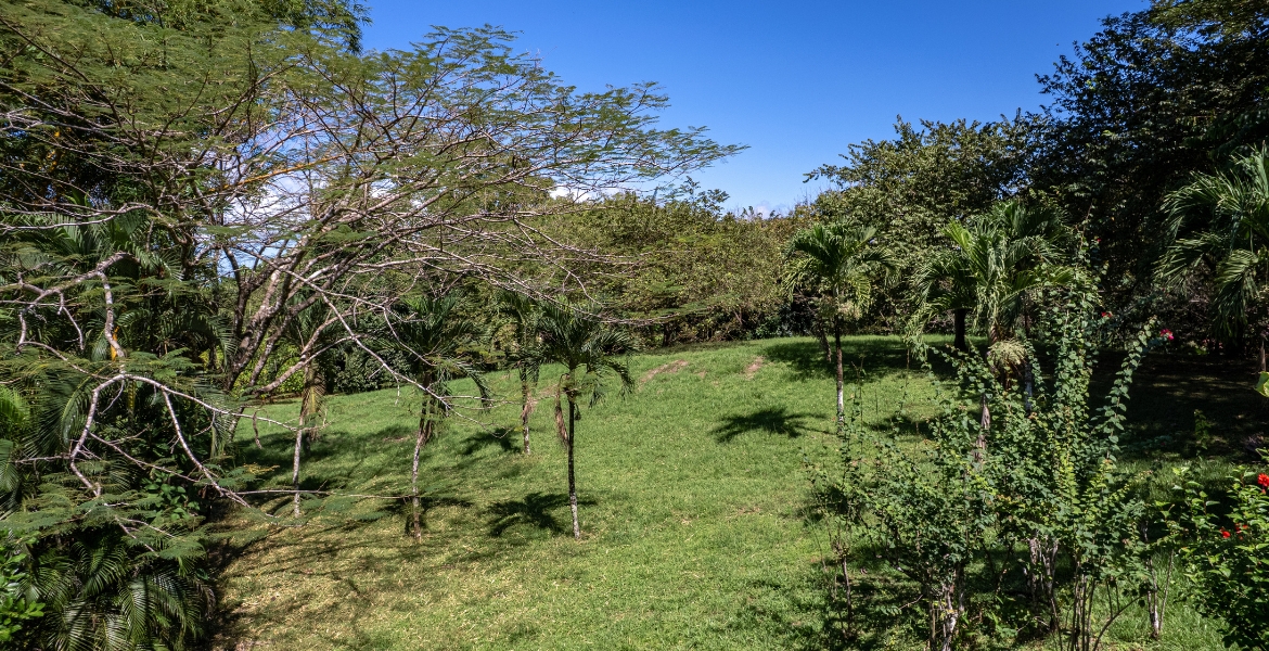 Las Delicias