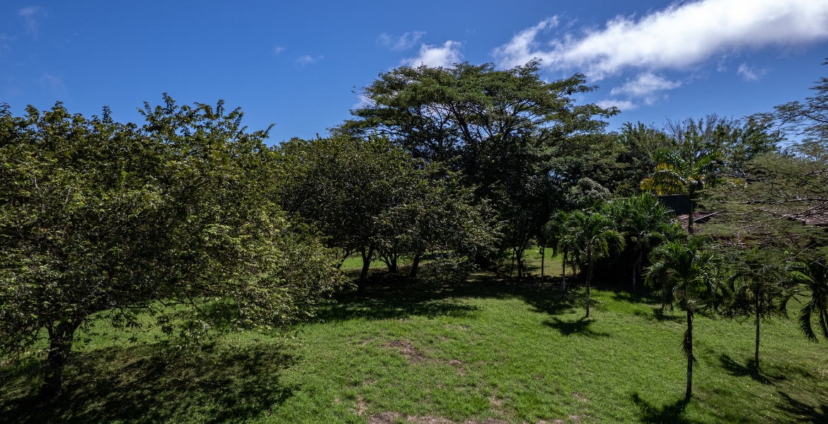 Las Delicias