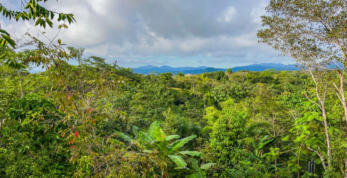 Montezuma