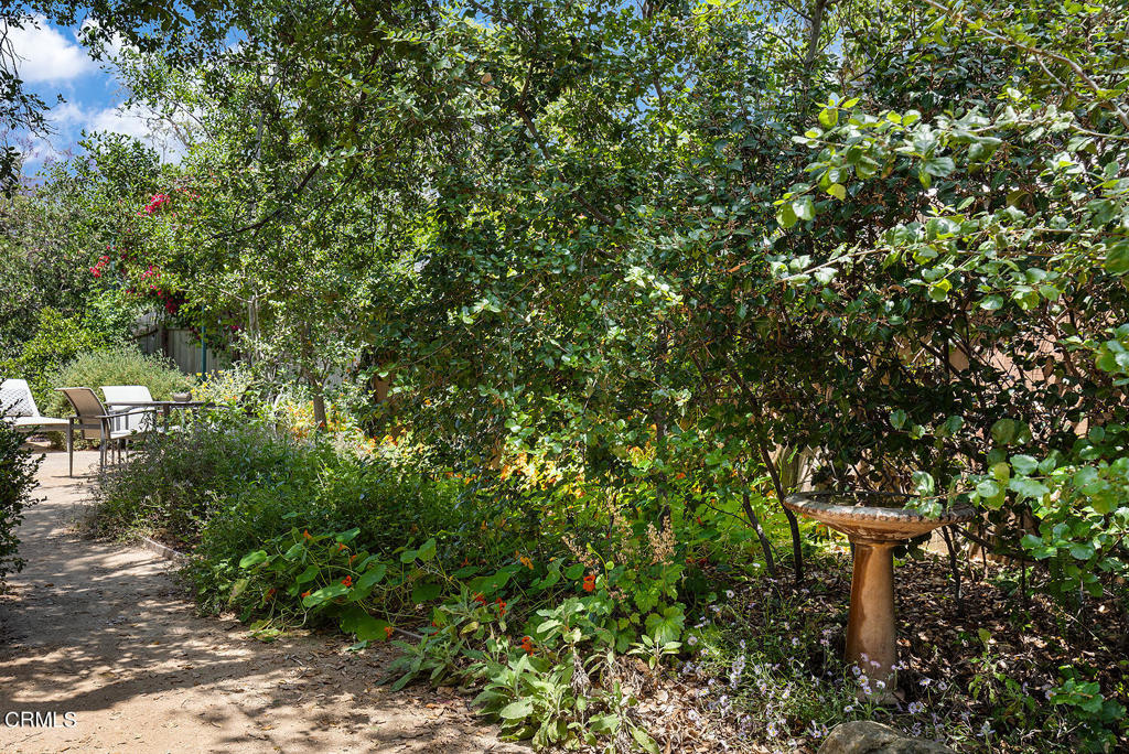 1825 Cerro Gordo Street