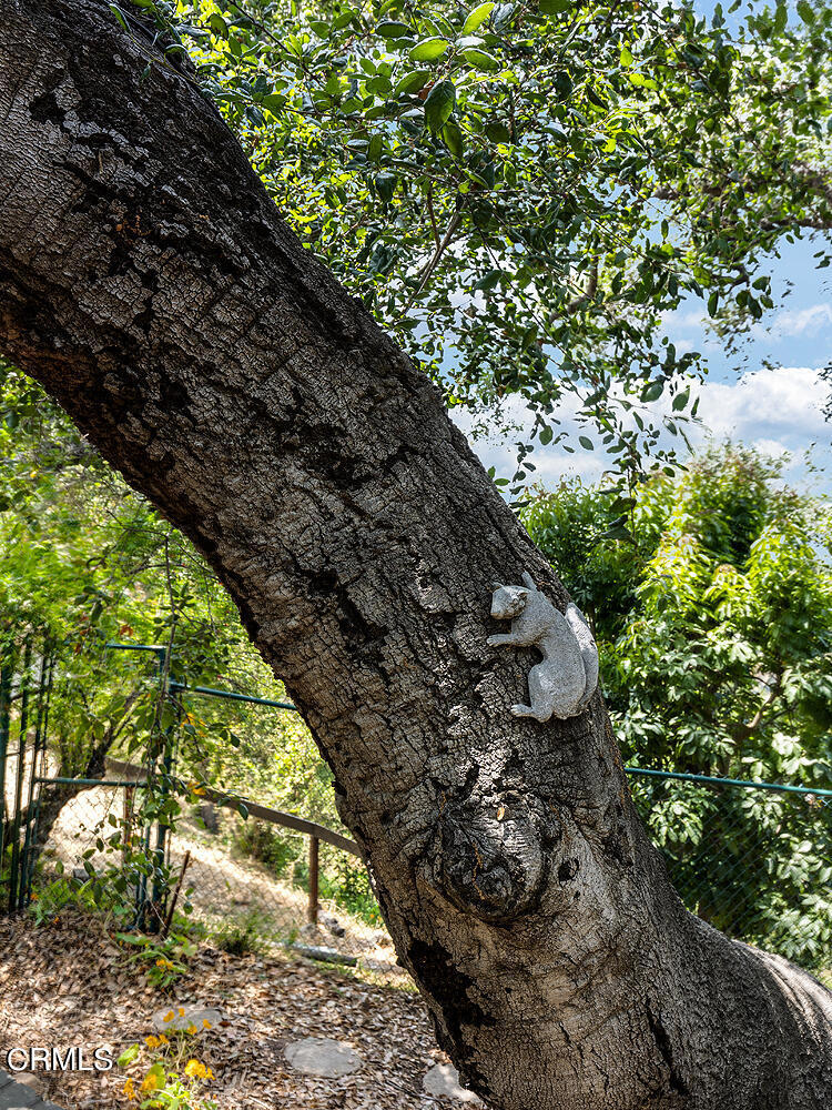 1825 Cerro Gordo Street