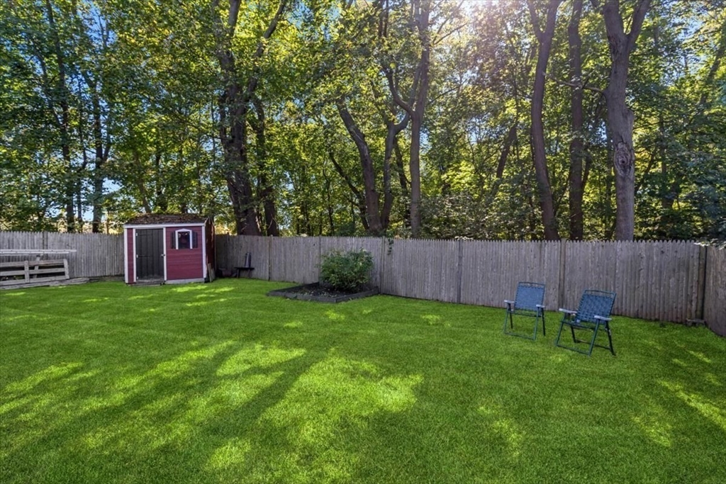 11 Sanborn