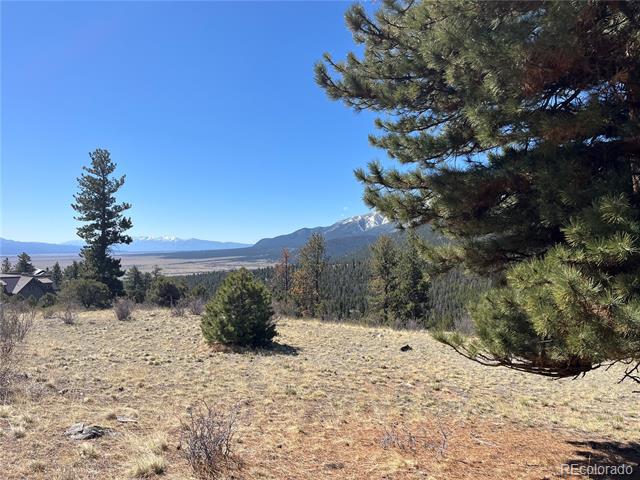 Mountaintop