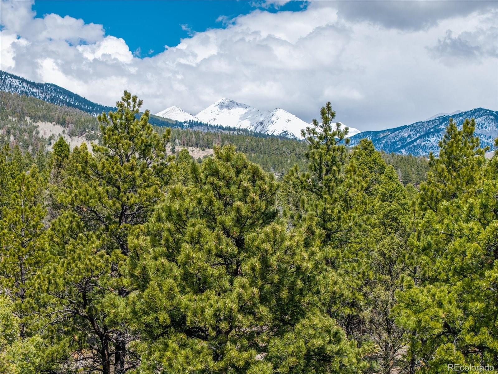 24900 County Road 339