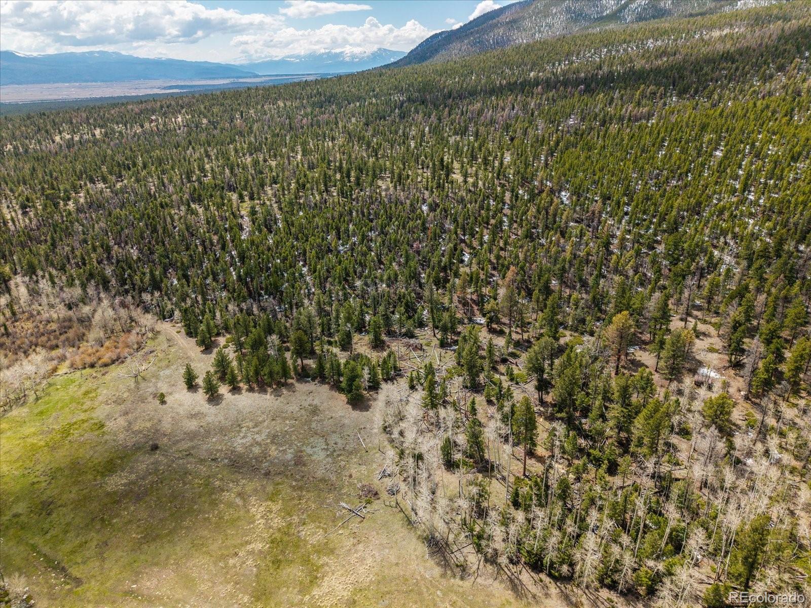 24900 County Road 339