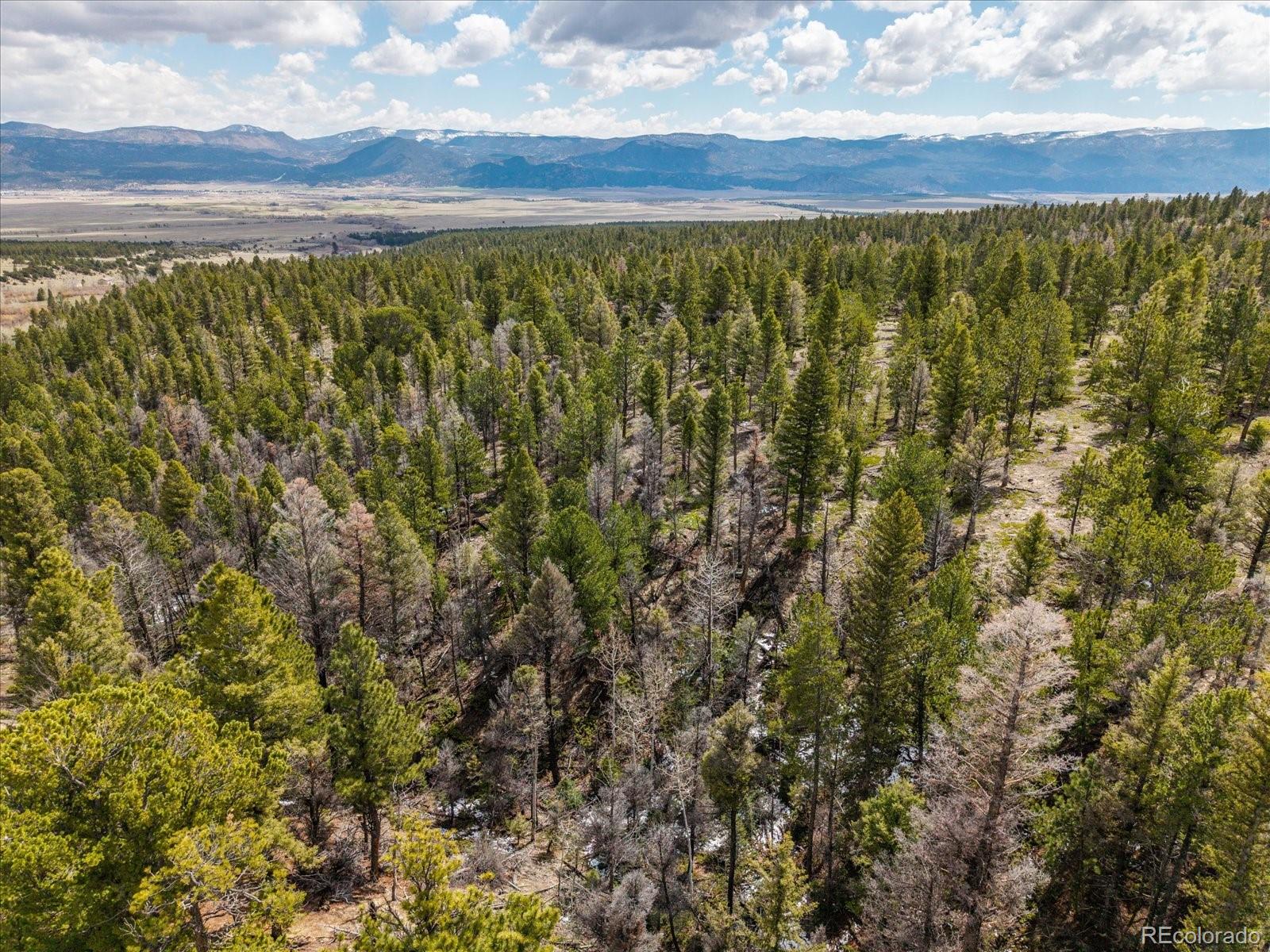 24900 County Road 339