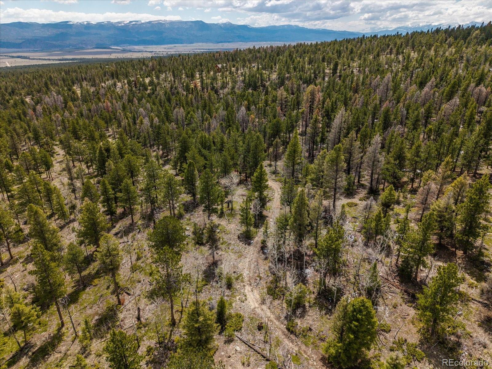 24900 County Road 339