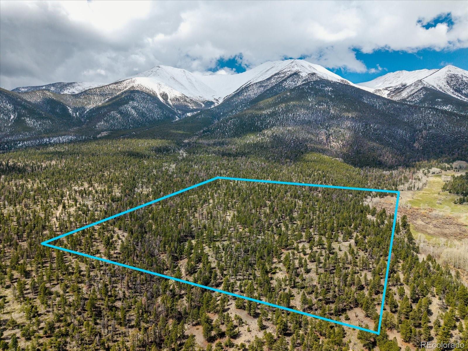 24900 County Road 339