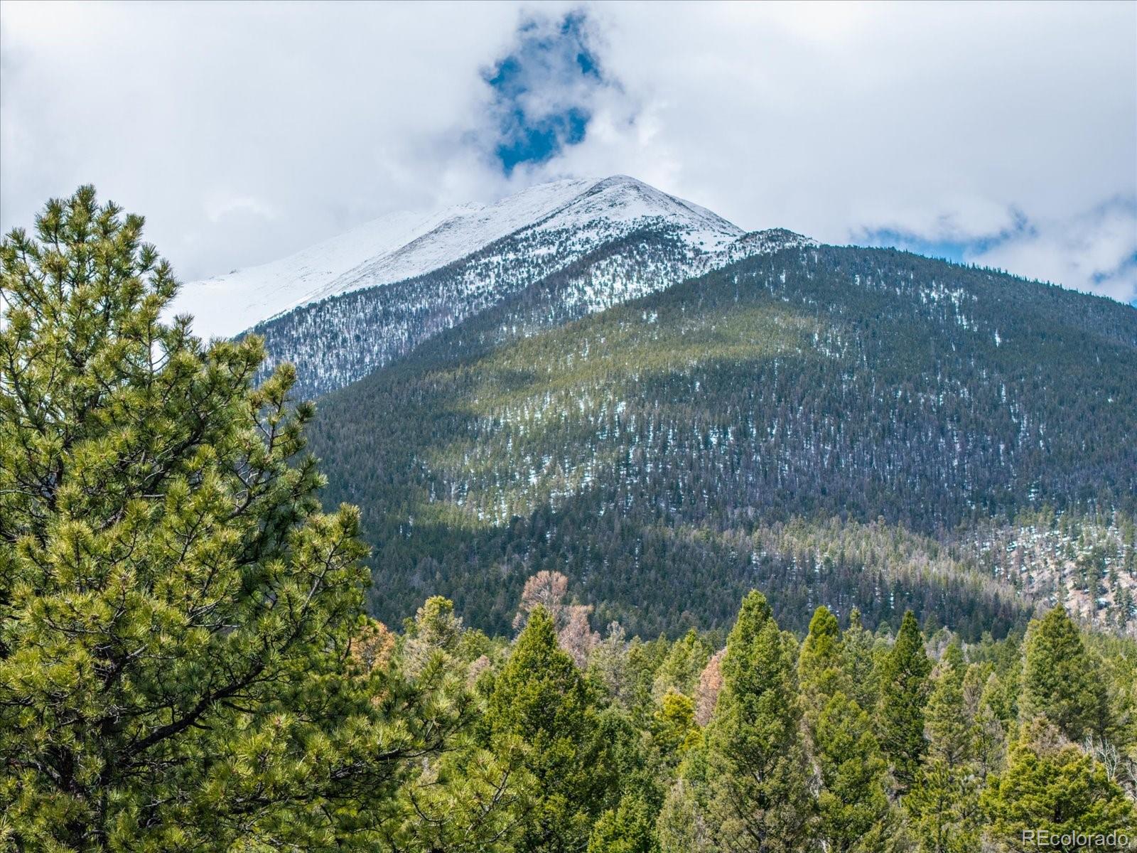 24900 County Road 339