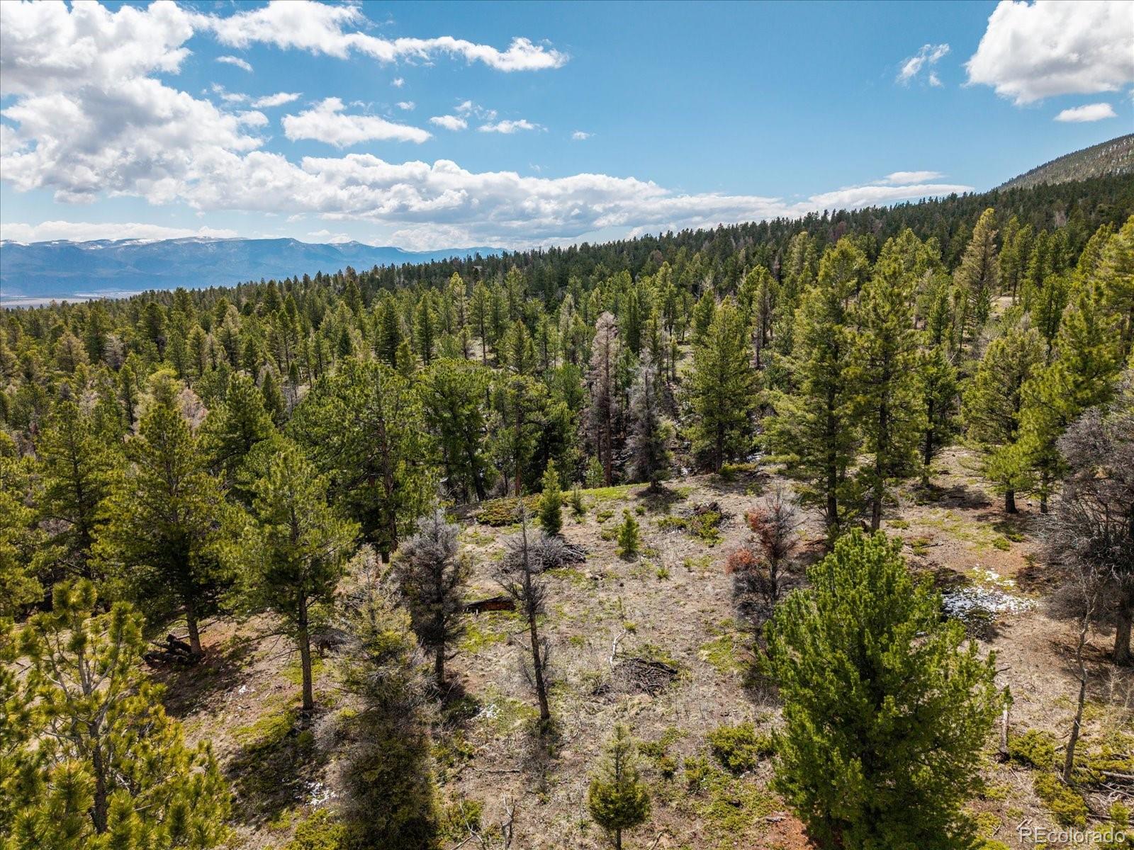 24900 County Road 339