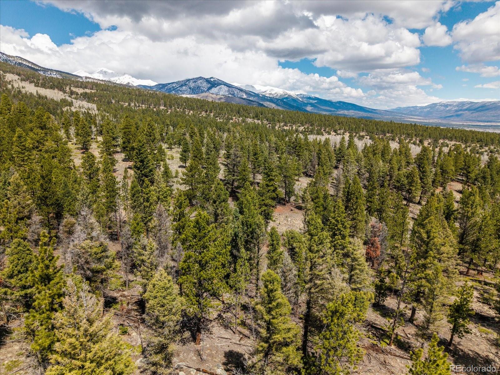 24900 County Road 339