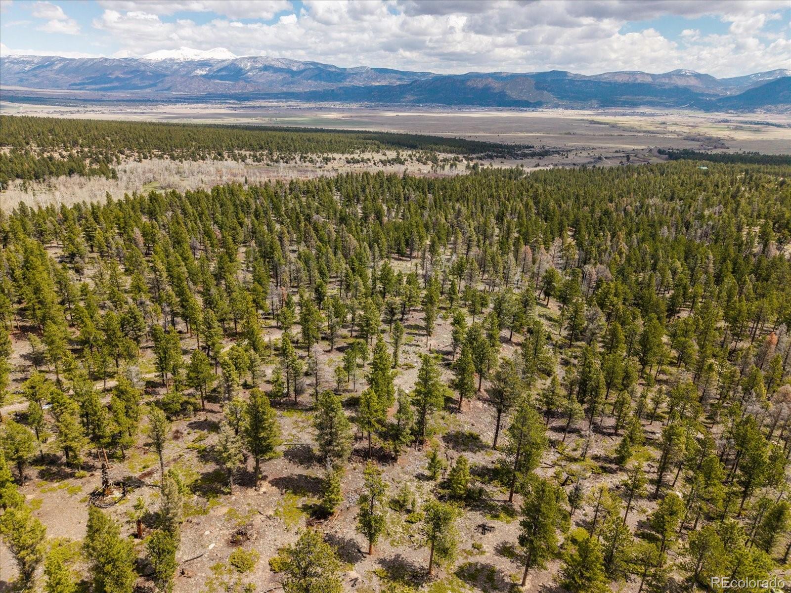 24900 County Road 339