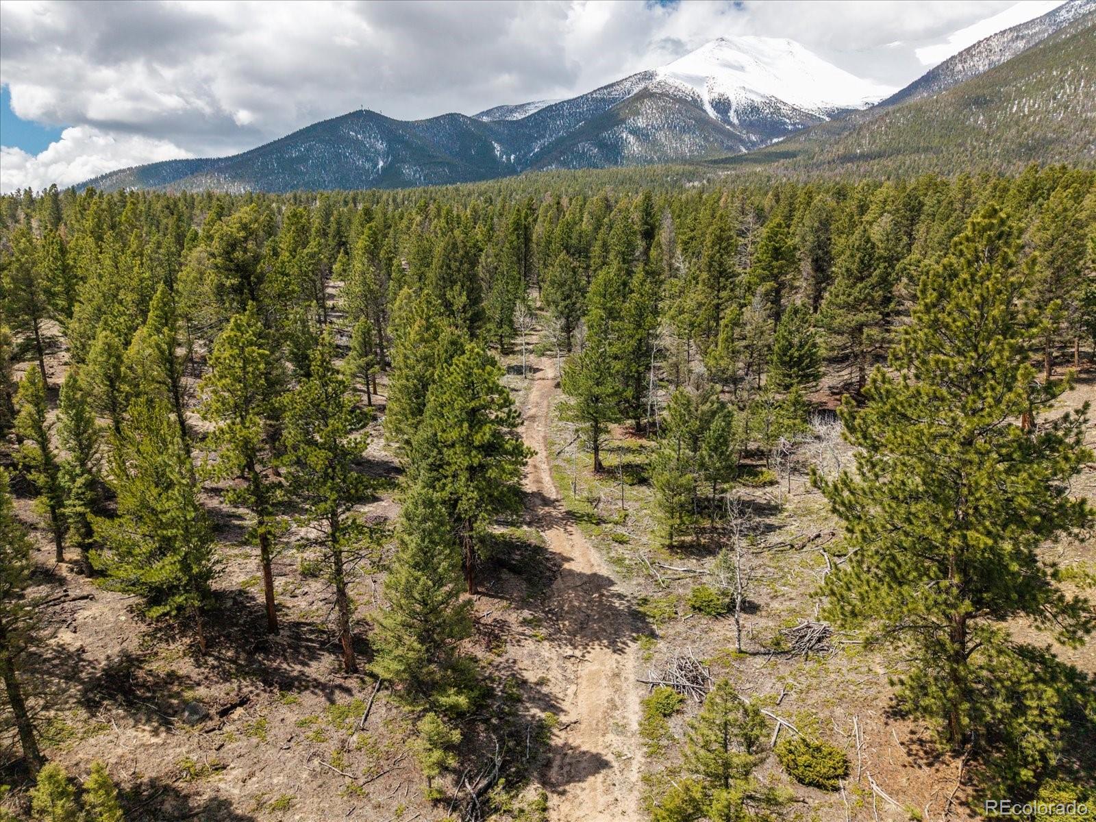 24900 County Road 339