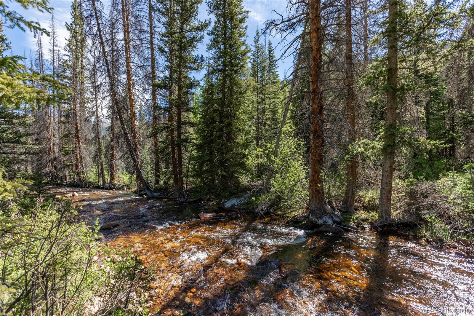 18990 Cr 294 Nathrop Co Us 81236 Rec2565229