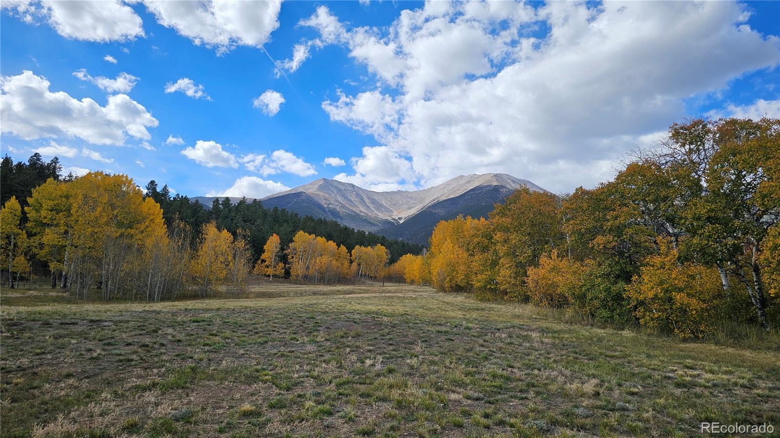 24559 Co Rd 339