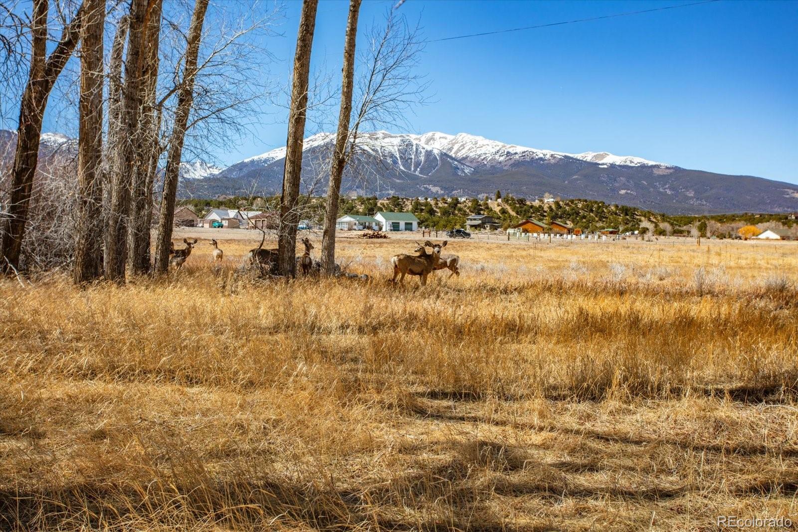 29571 County Road 350a