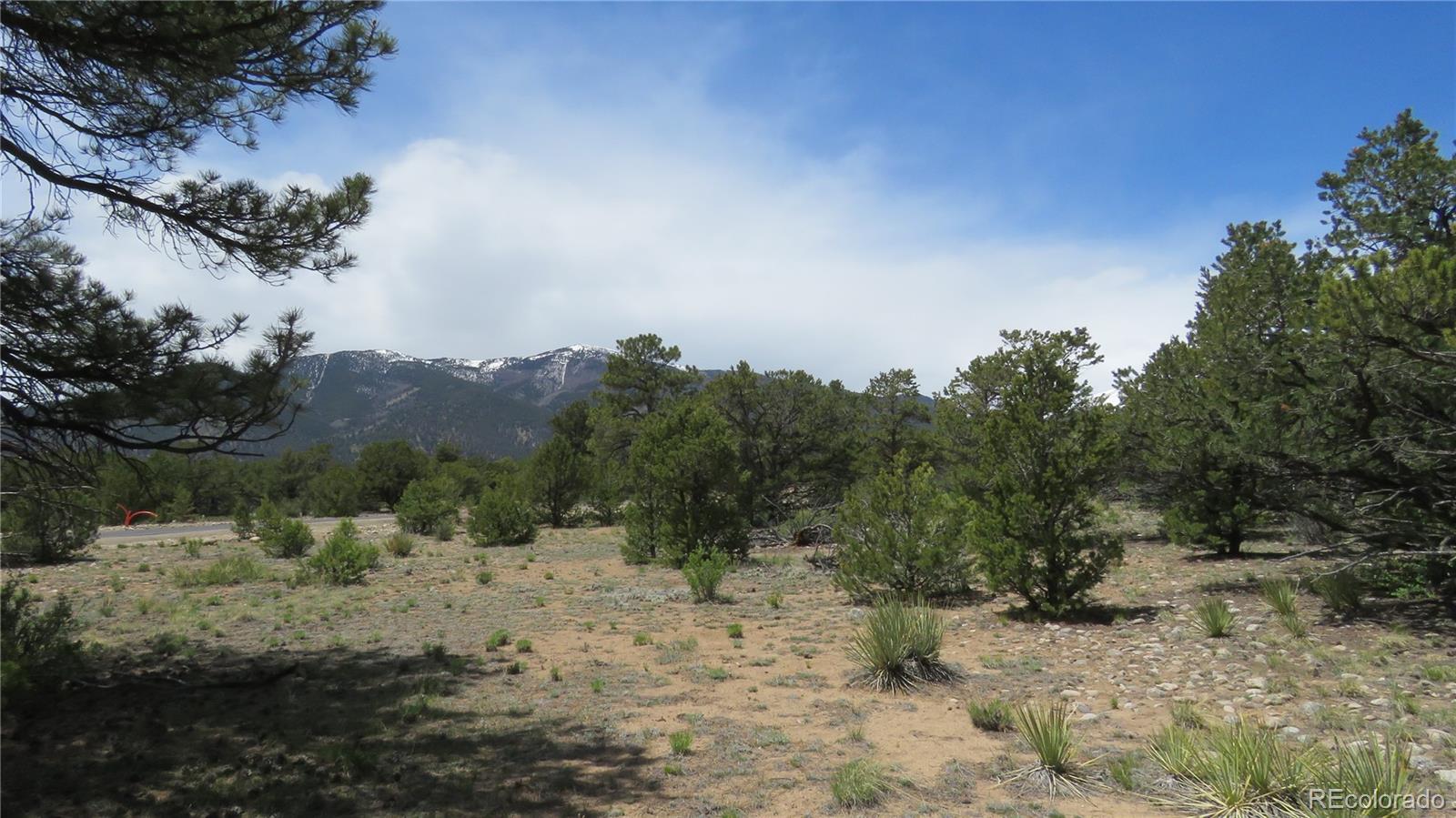 29266 Timber Ridge
