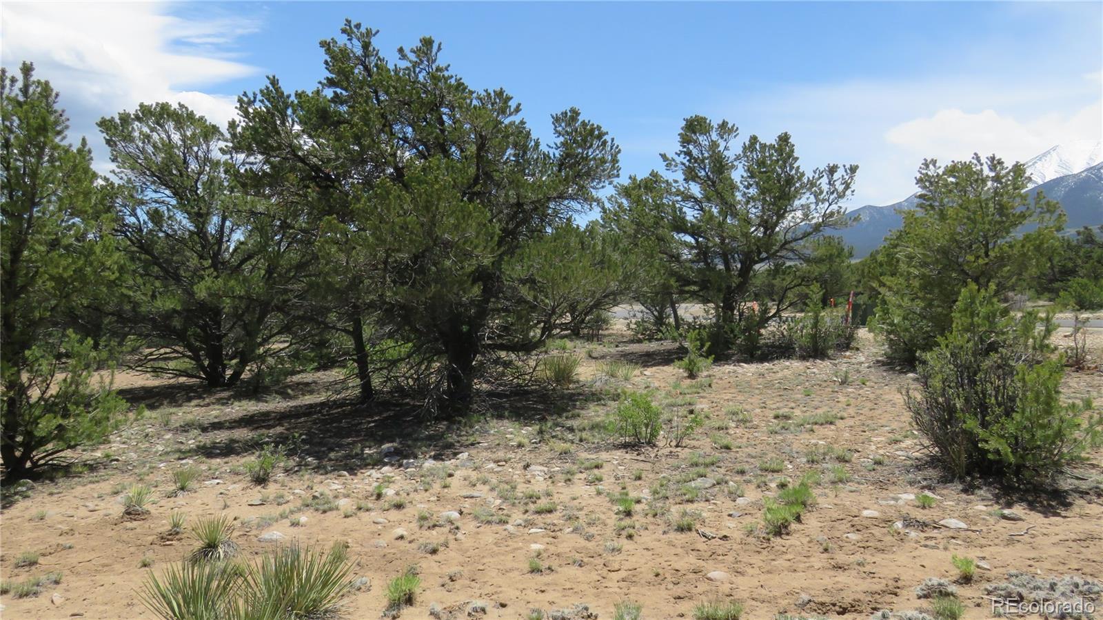 29266 Timber Ridge