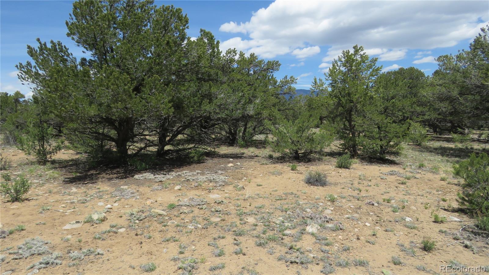 29266 Timber Ridge