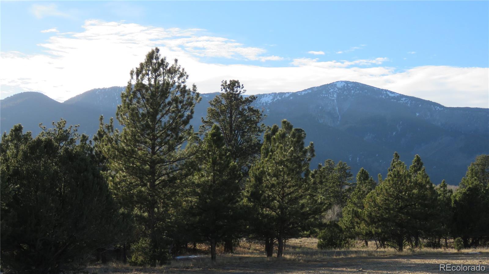 29266 Timber Ridge