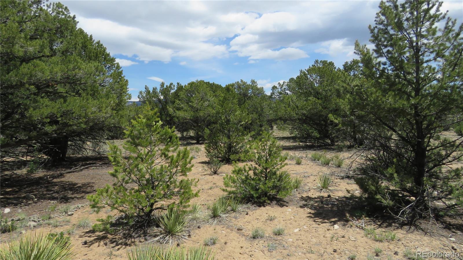 29266 Timber Ridge