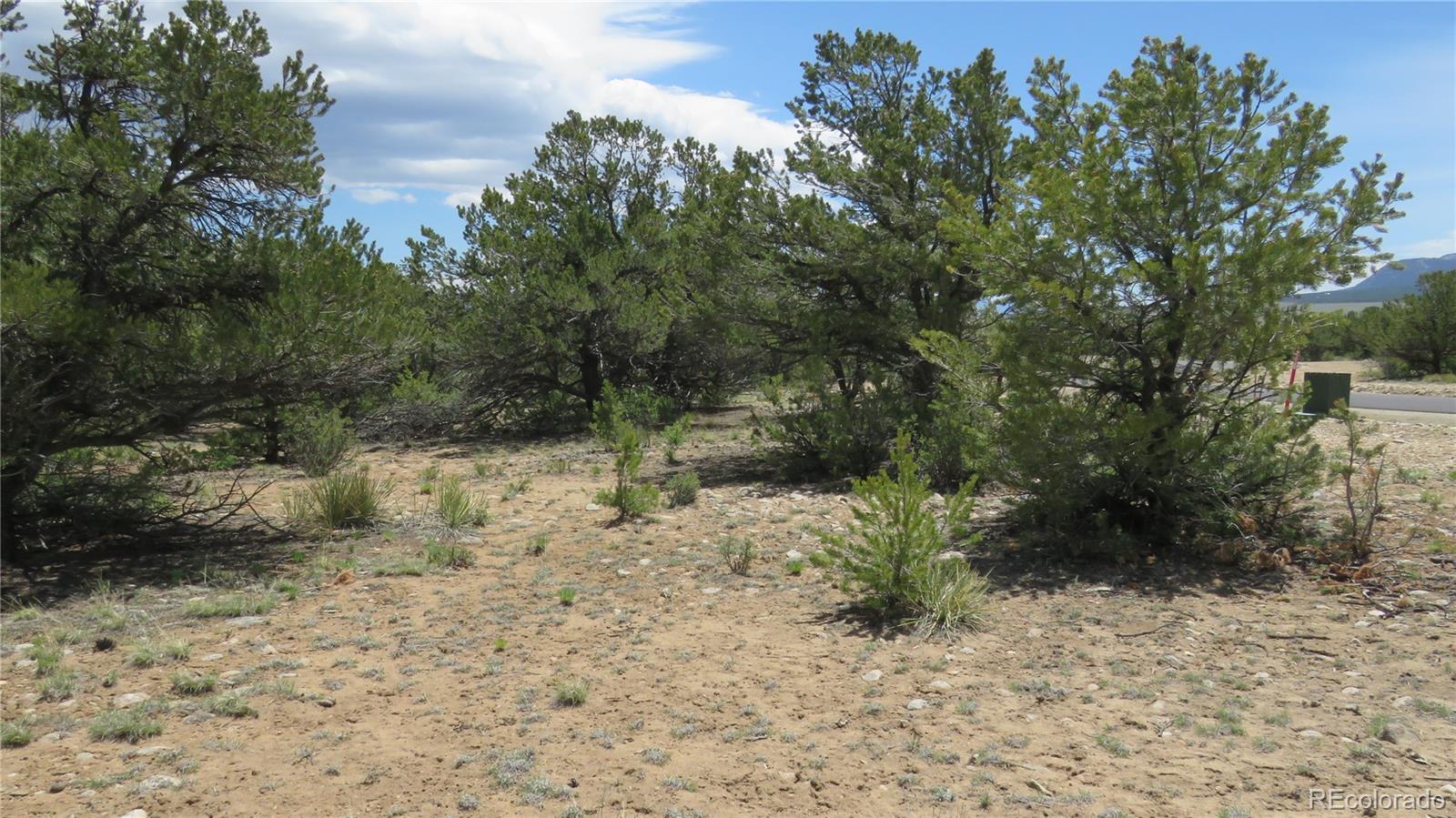 29266 Timber Ridge