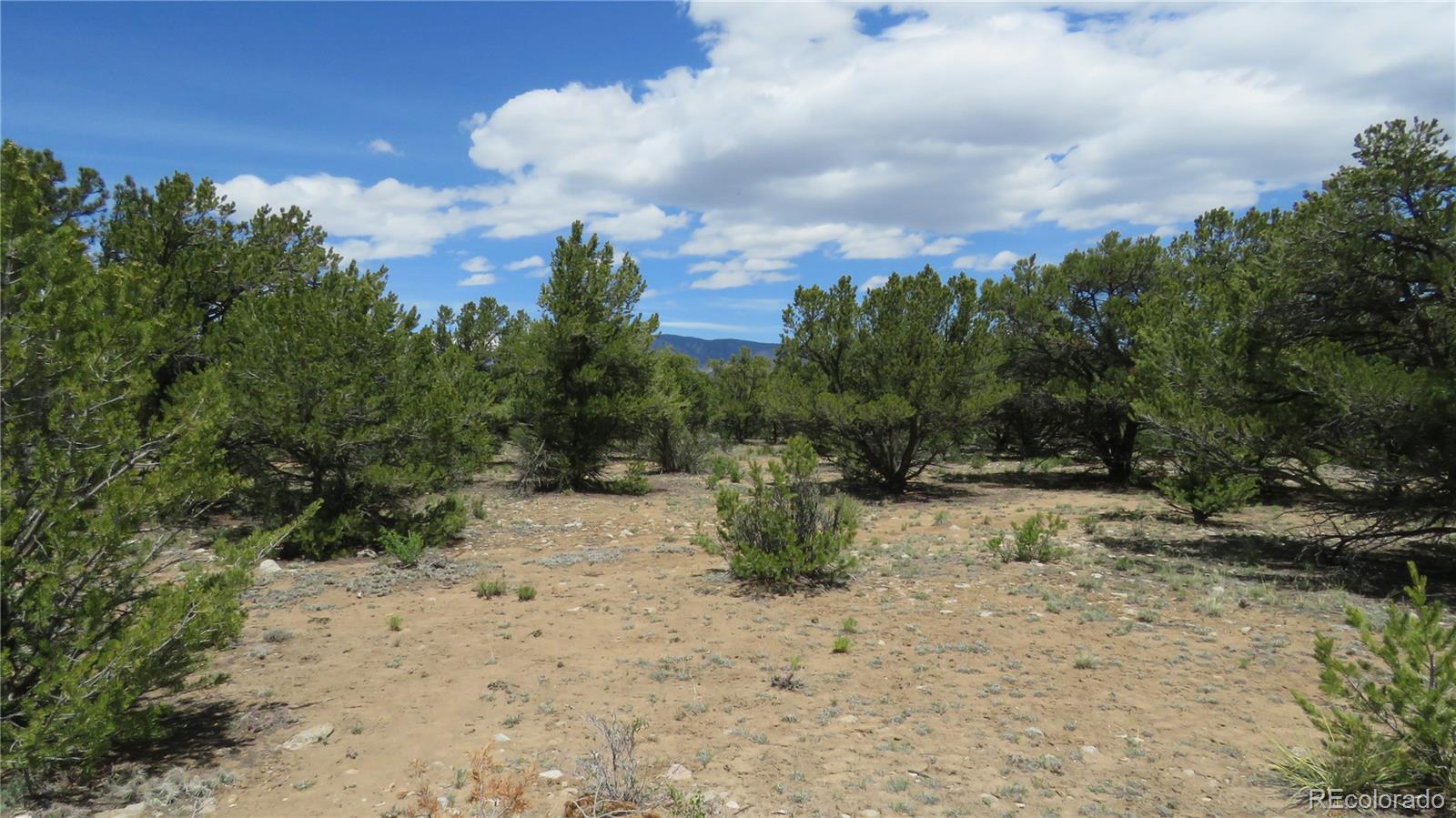 29266 Timber Ridge
