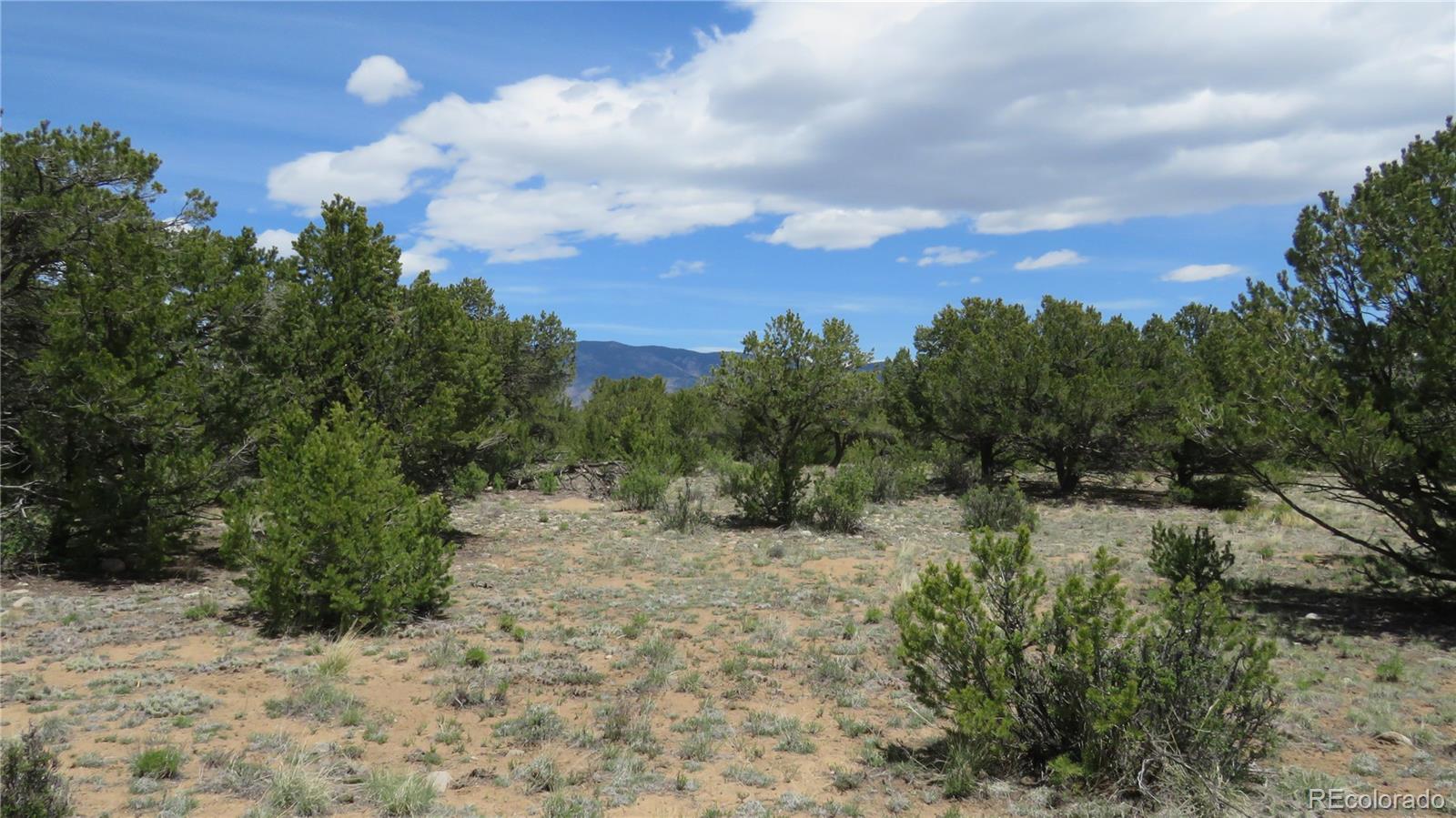 28924 Timber Ridge