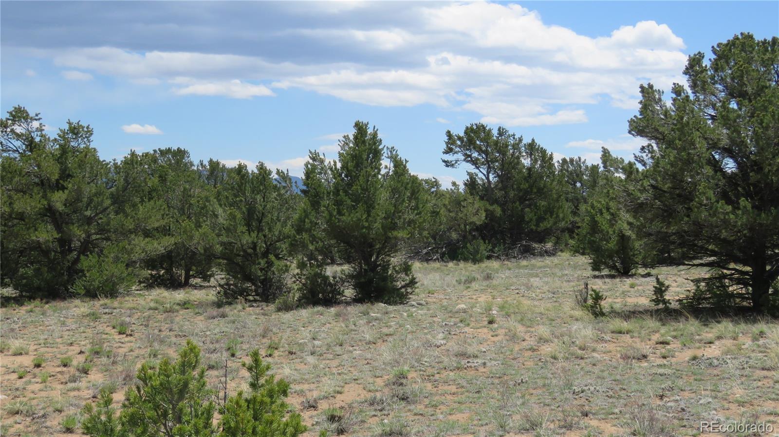 28924 Timber Ridge