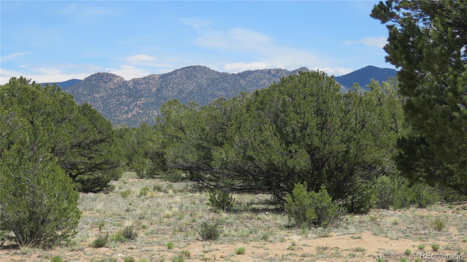 28924 Timber Ridge