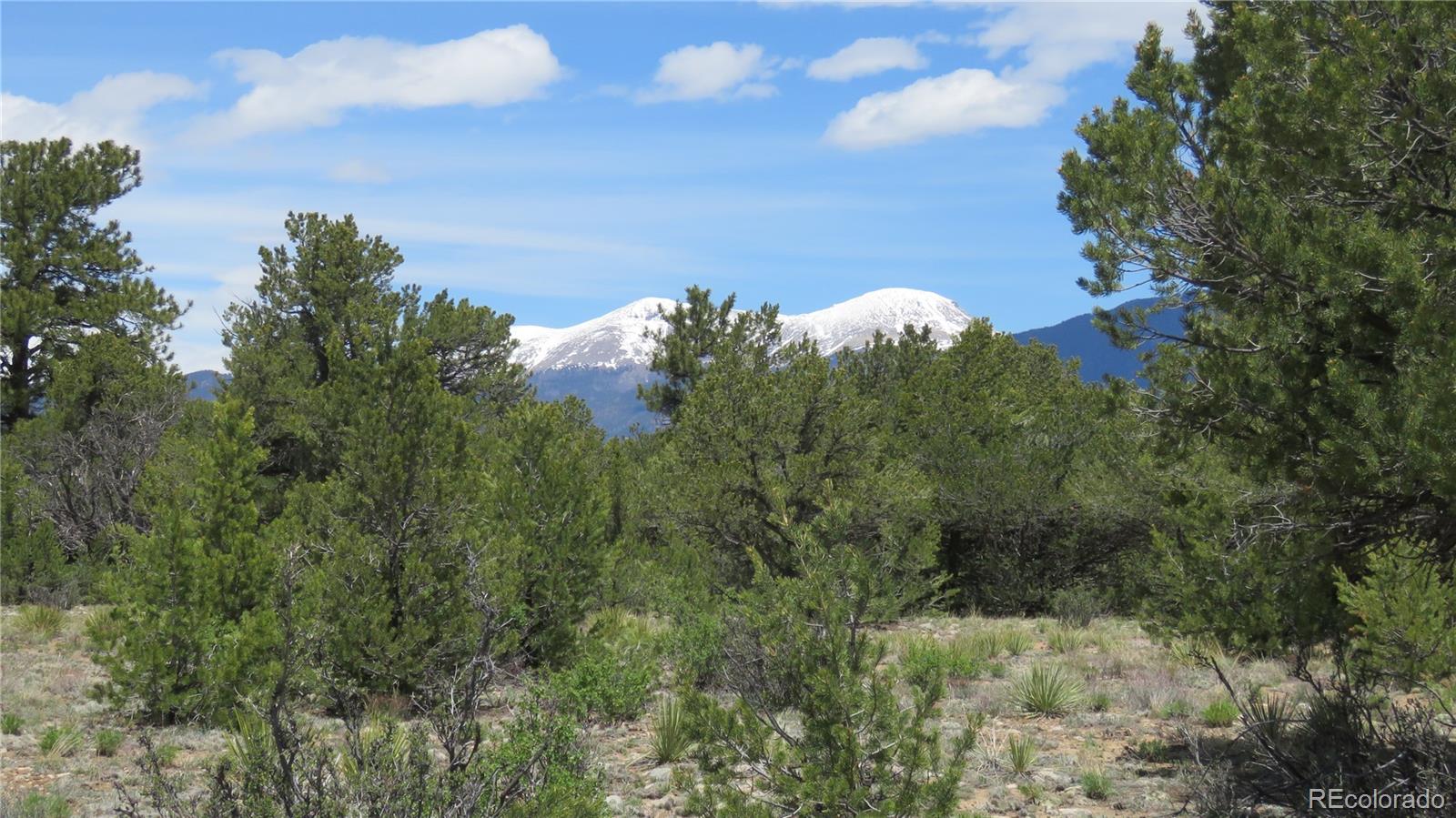 28924 Timber Ridge