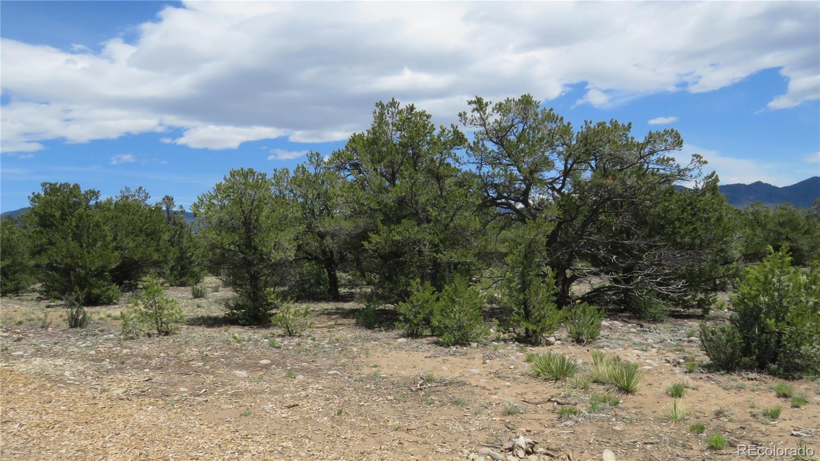 28924 Timber Ridge