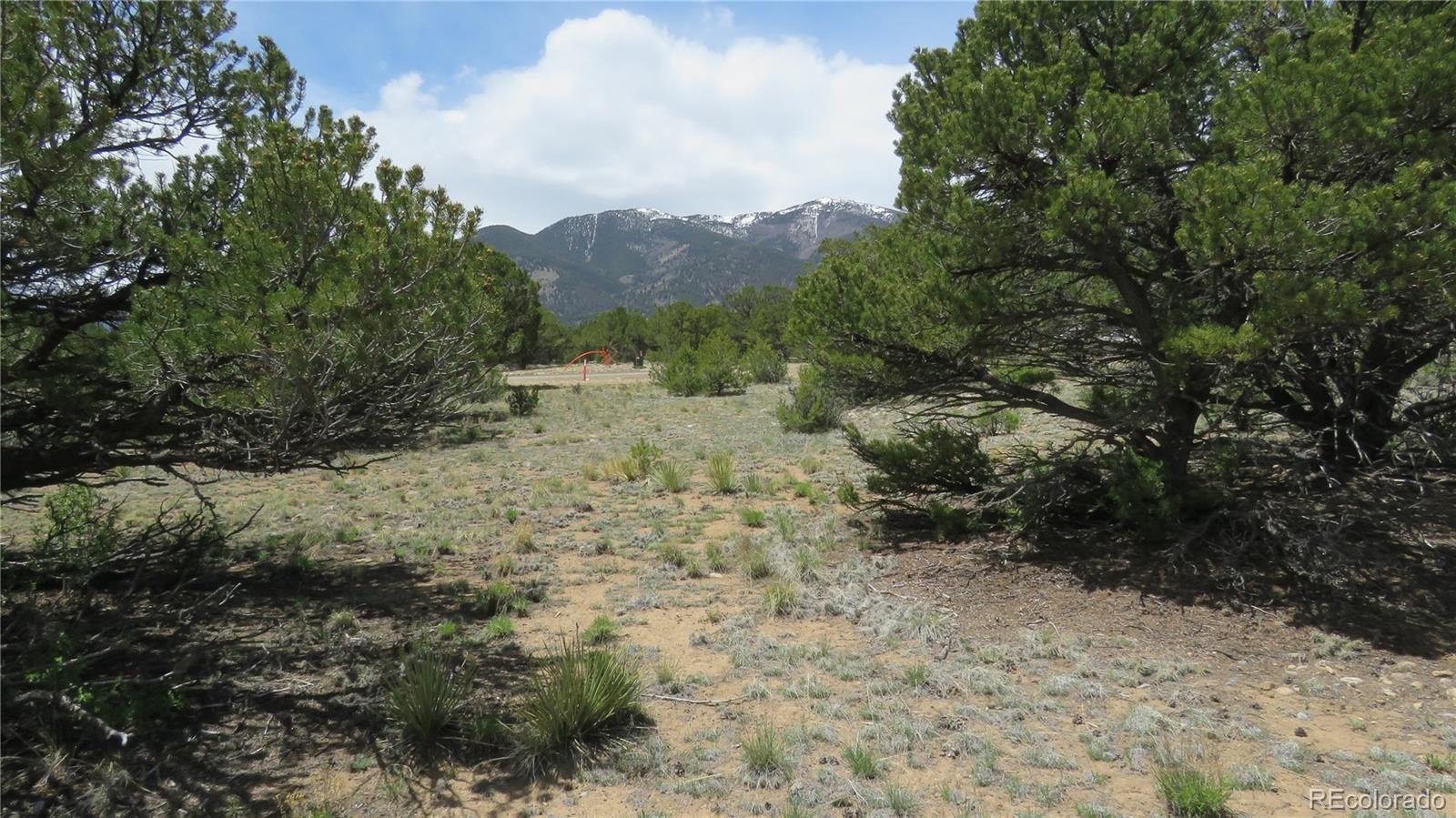28924 Timber Ridge