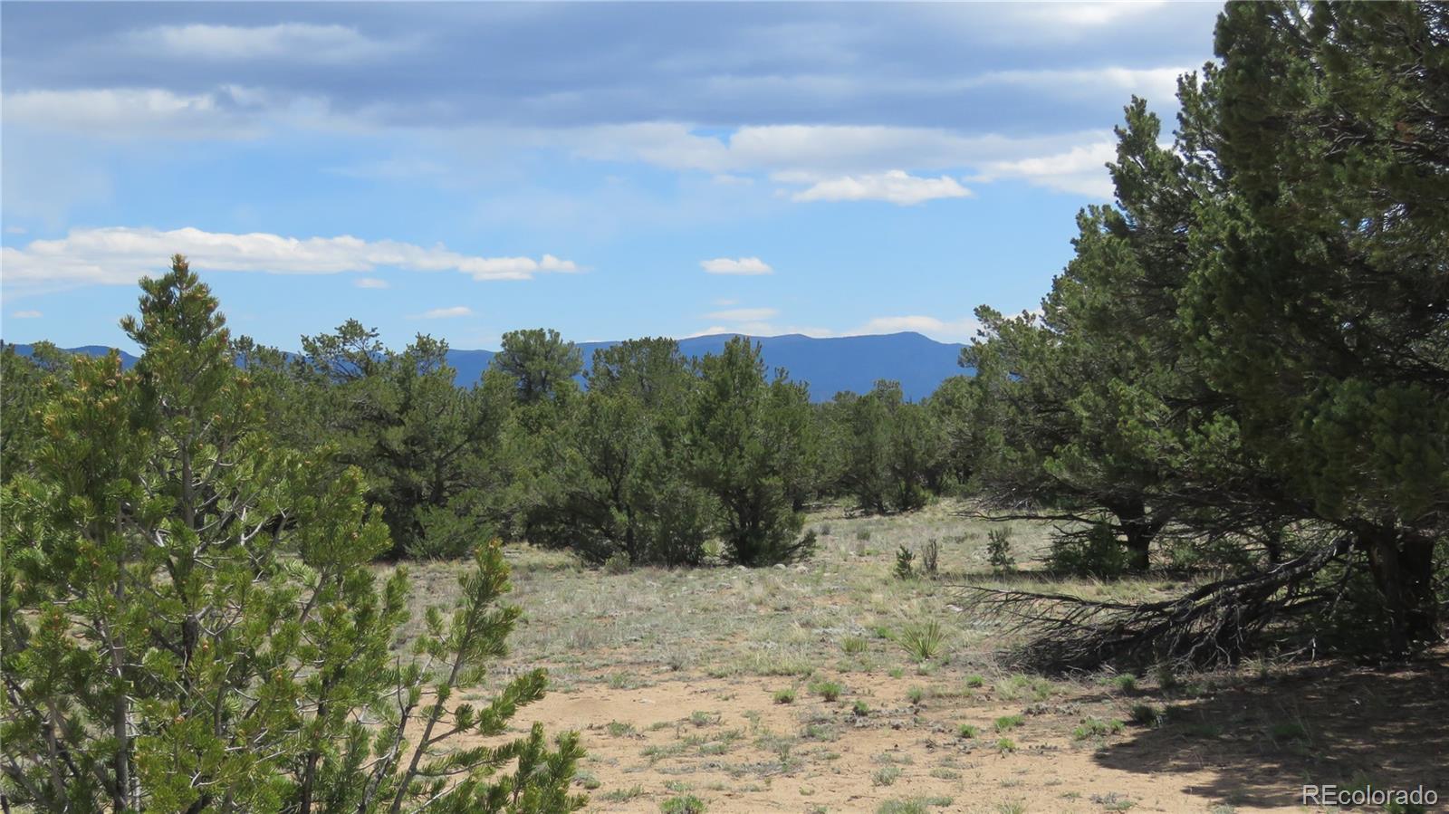 28924 Timber Ridge