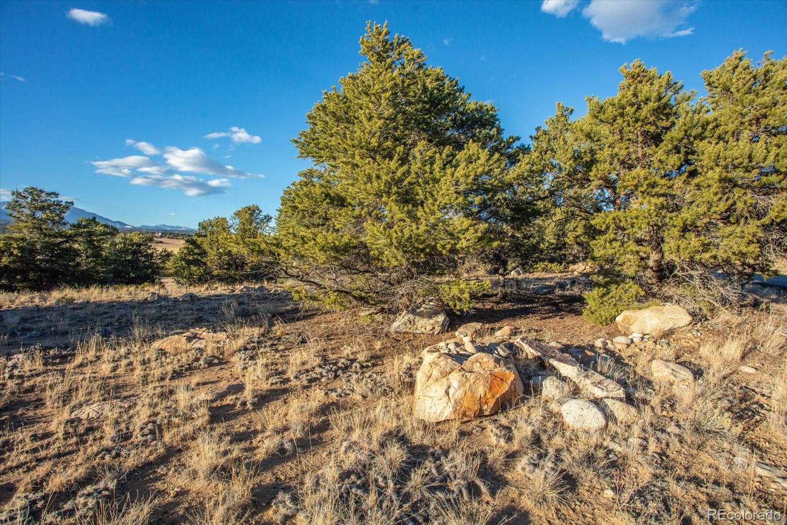 12740 County Road 195